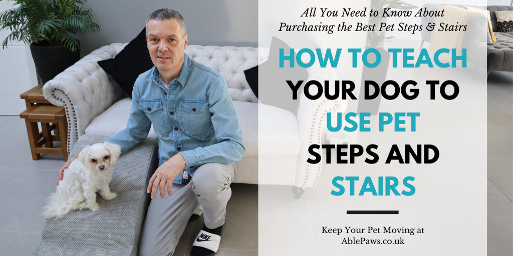How To Teach Your Dog To Use Pet Steps And Stairs