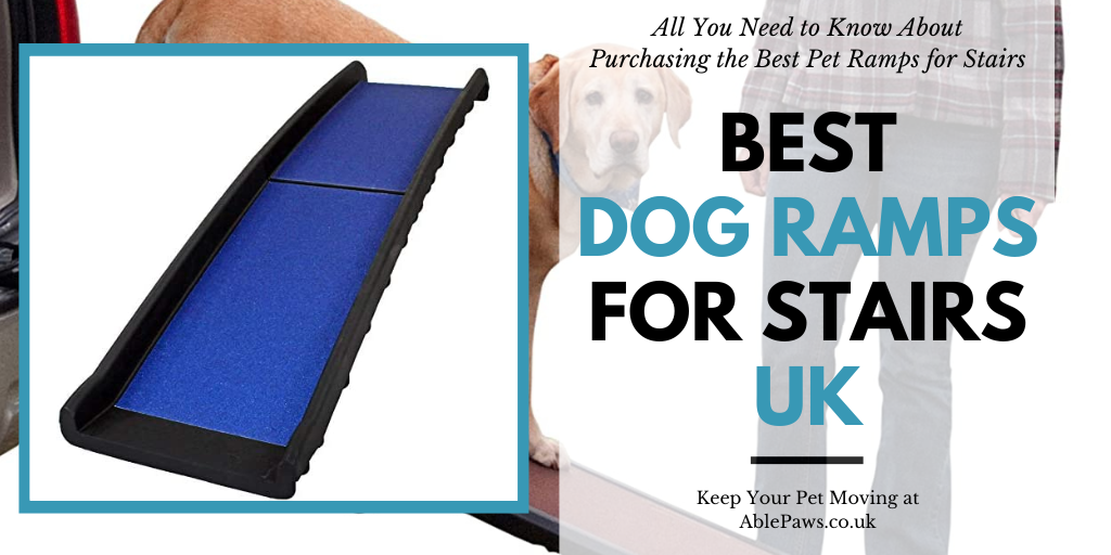 Best Dog Ramps For Stairs UK
