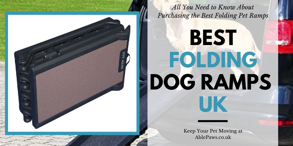Best Folding Dog Ramps UK