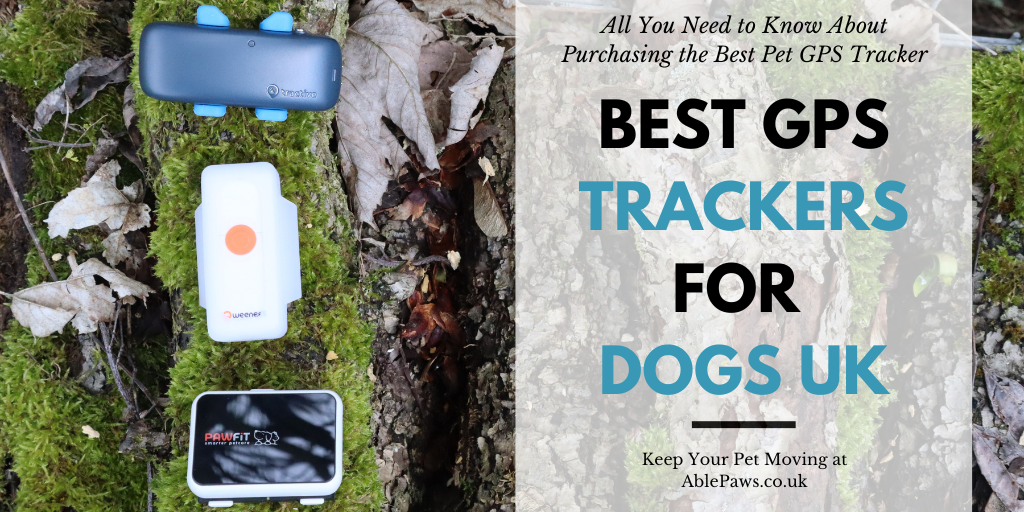 Best GPS Trackers for Dogs UK