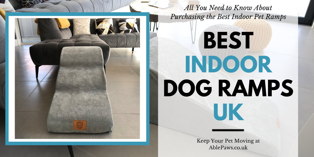Best Indoor Dog Ramps UK