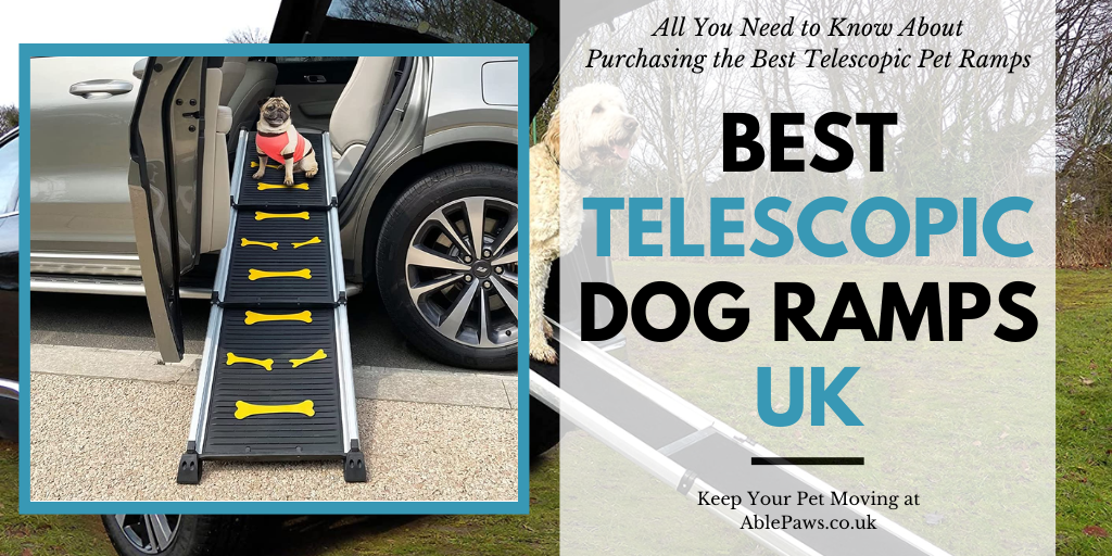 Best Telescopic Dog Ramps UK
