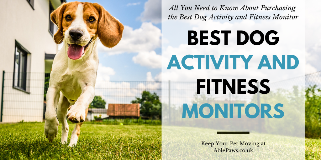 Dog Activity and Fitness Monitors