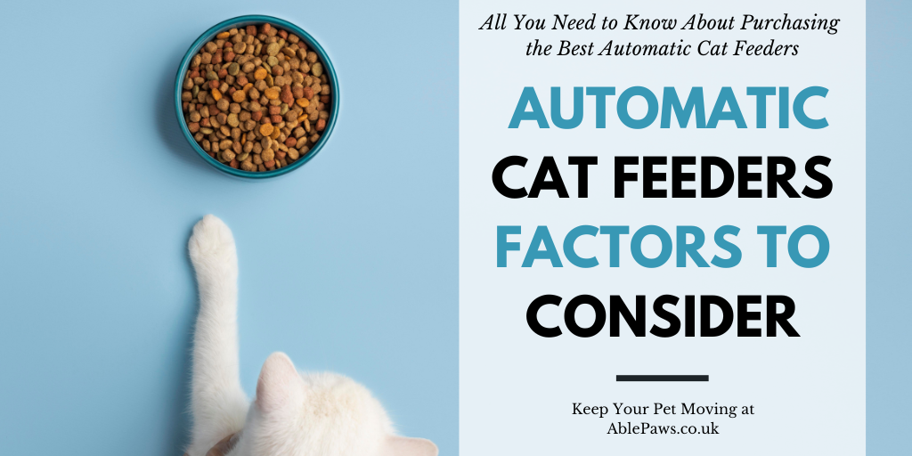 Best Cat Feeders - Factors to Consider for Optimal Feline Feeding