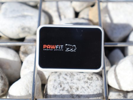 PAWFIT 2 Pet Tracker UK Review - Conclusion