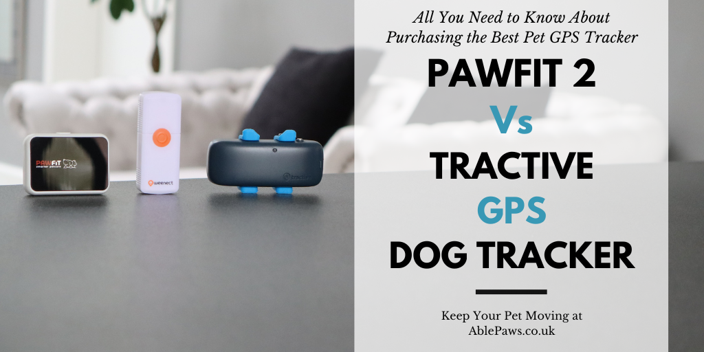 Pawfit 2 Vs Tractive GPS Dog Tracker
