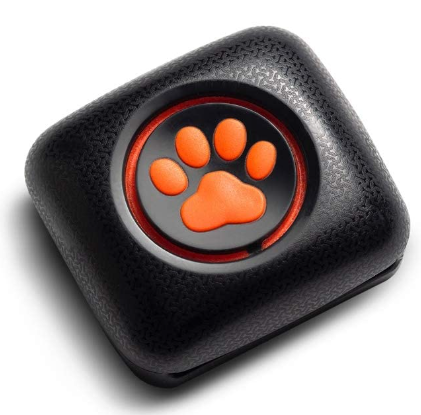 PitPat Dog Activity and Fitness Monitor Review