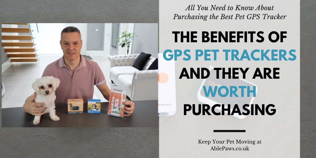 The Benefits Of GPS Pet Trackers And Whether They Are Worth Purchasing