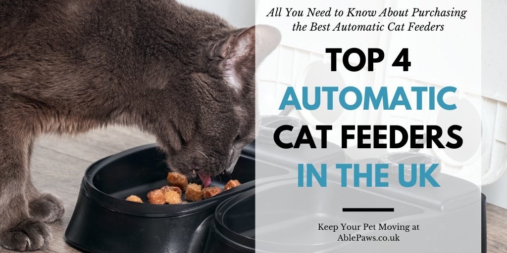 Top 4 Automatic Cat Feeders in the UK