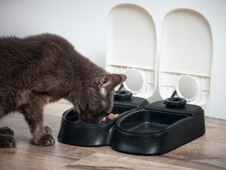 Your Guide To Choosing The Best Automatic Cat Feeder