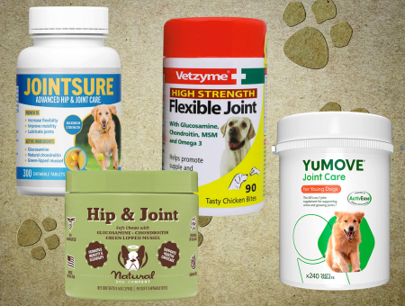 5 Best Joint Supplement For Dogs