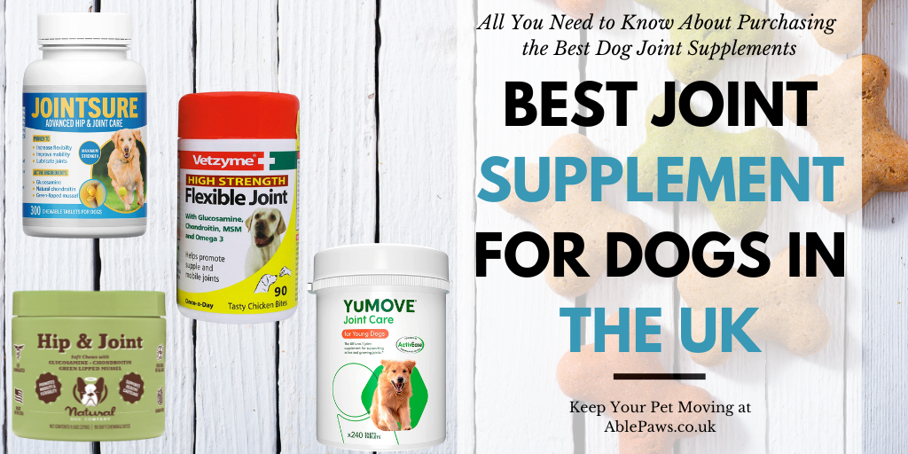 Best Joint Supplement For Dogs In The UK