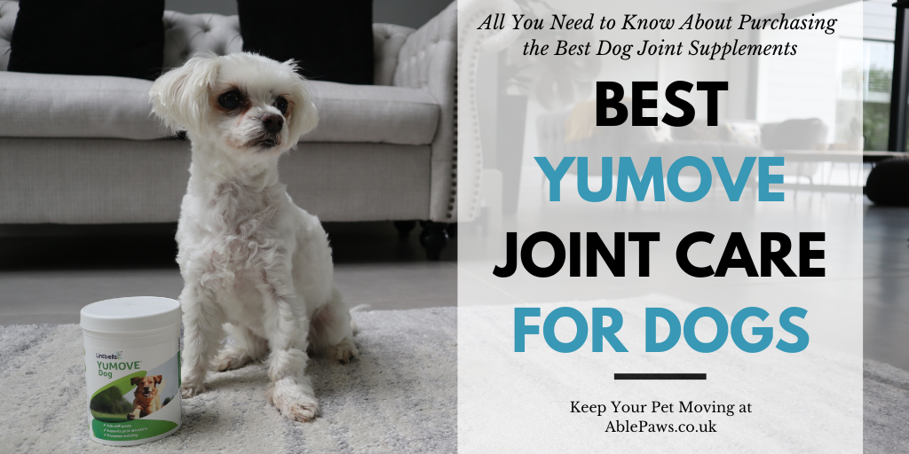 Best YuMOVE Joint Care for Dogs