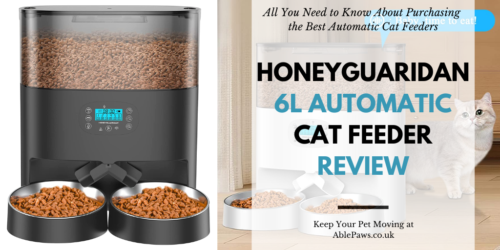 HoneyGuaridan 6L Automatic Cat Feeder Review UK