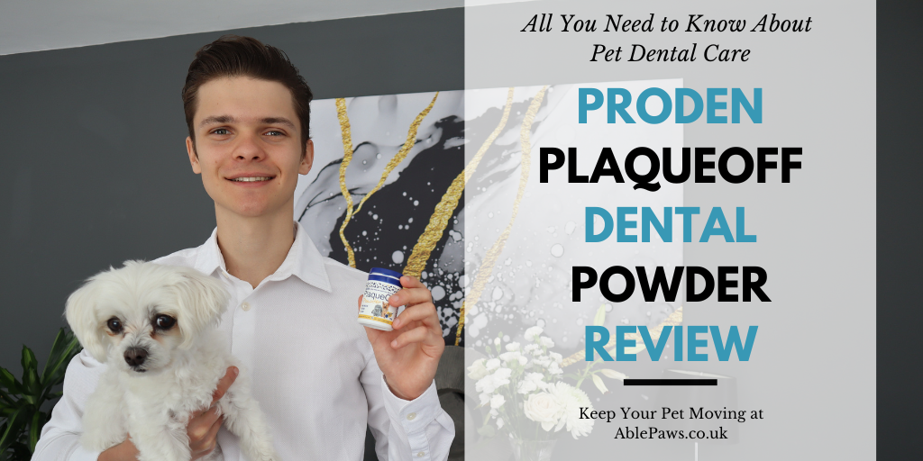 Proden Plaqueoff dental powder review