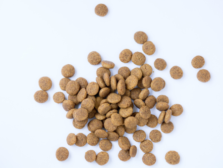 The Benefits to a Dogs Teeth of Kibble Over Soft Feeds