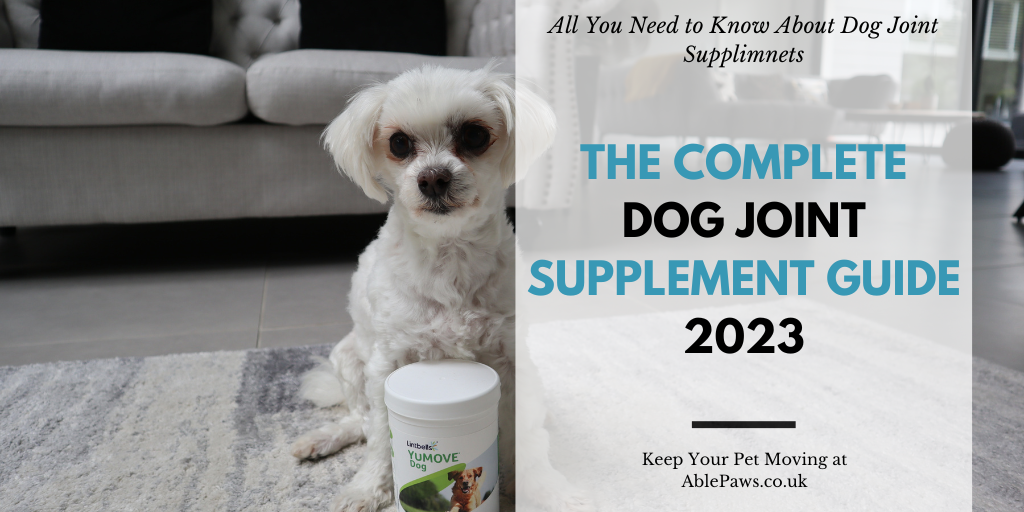 The Complete Dog Joint Supplement Guide 2023