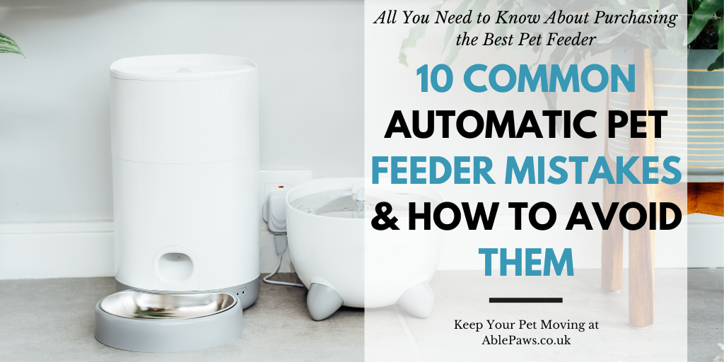 10 Common Automatic Pet Feeder Mistakes & How to Avoid Them