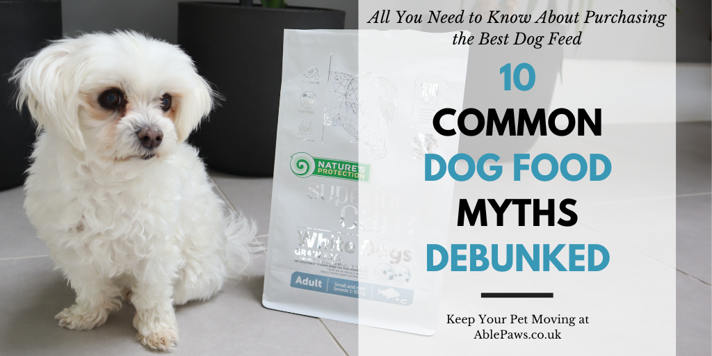 10 Common Dog Food Myths Debunked A Veterinary Perspective