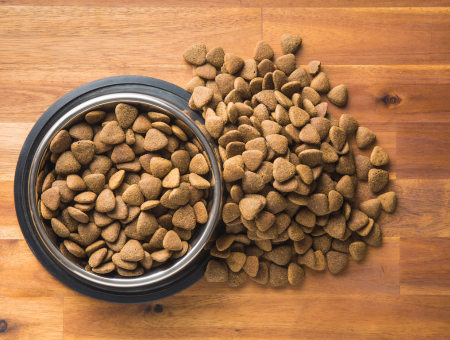10 Common Mistakes Pet Owners Make When Using Automatic Feeders Using the Wrong Type of Food