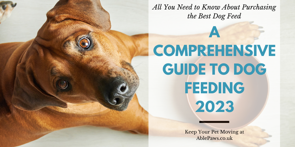 A Comprehensive Guide to Dog Feeding 2023