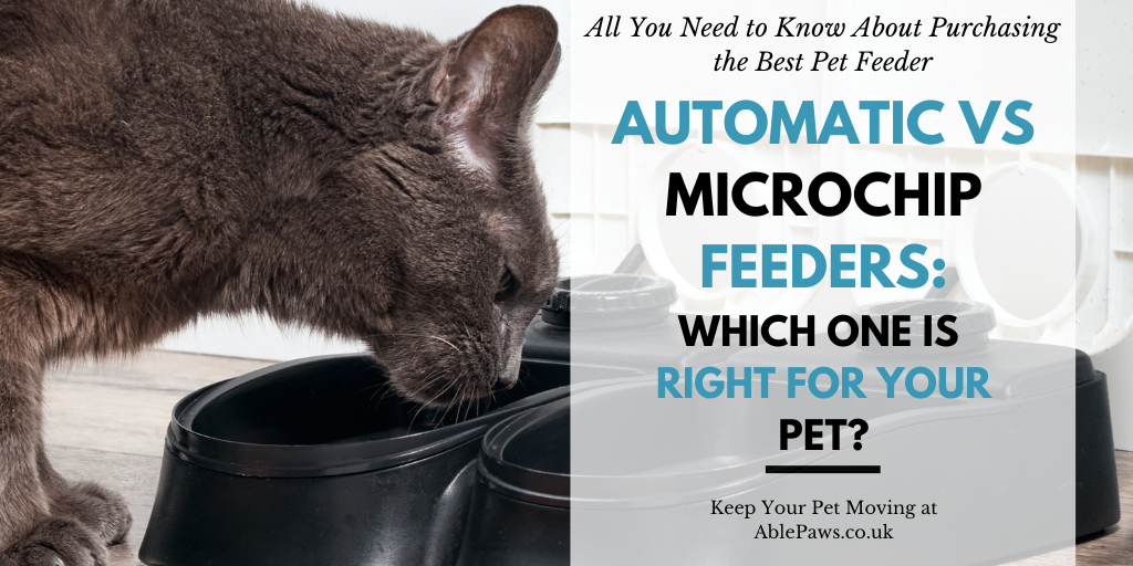 Automatic vs Microchip Feeders: Which One is Right for Your Pet?