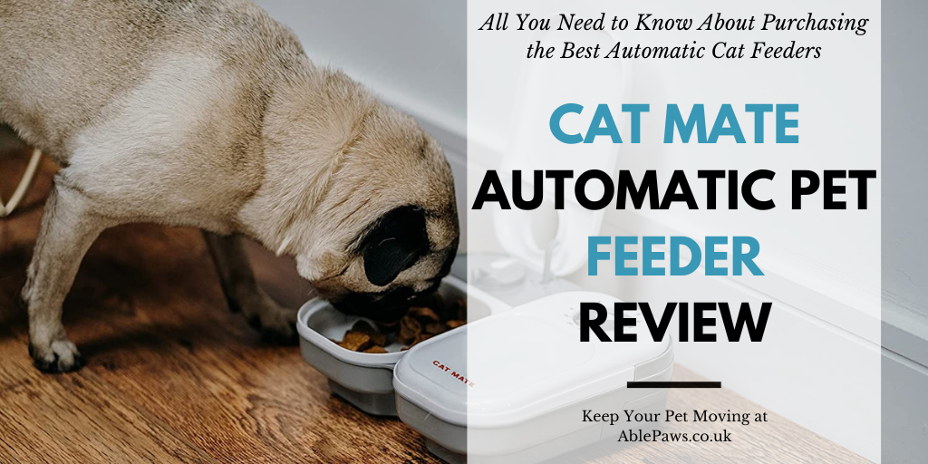 Cat Mate Automatic Pet Feeder Review UK