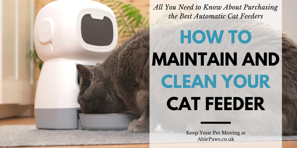 How to Maintain and Clean Your Cat Feeder: A Comprehensive Guide