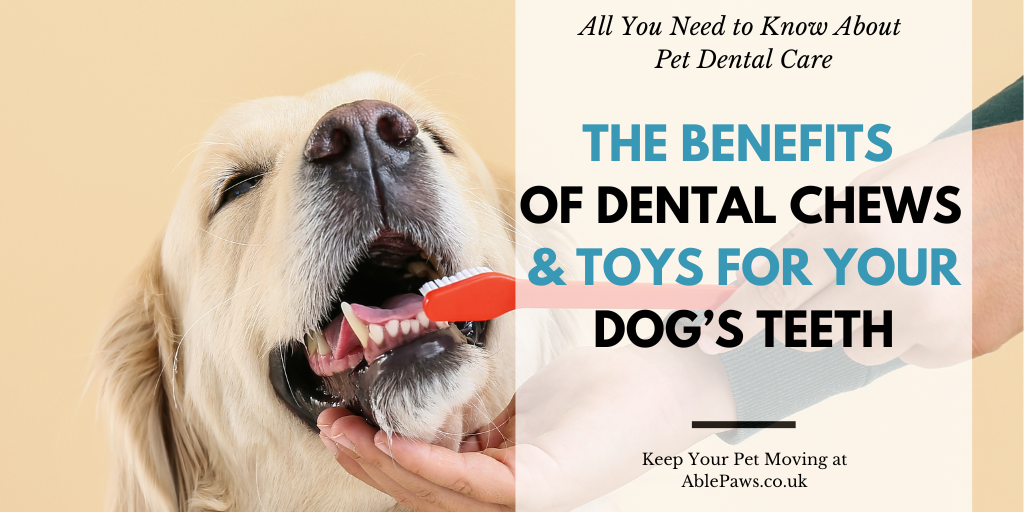 The Benefits Of Dental Chews & Toys For Your Dog’s Teeth