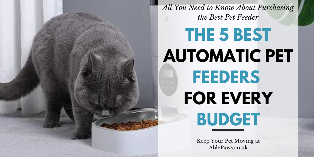 The Future of Feeding The 5 Best Automatic Pet Feeders for Every Budget