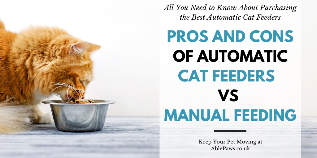 The Pros and Cons of an Automatic Cat Feeder vs Manual Feeding