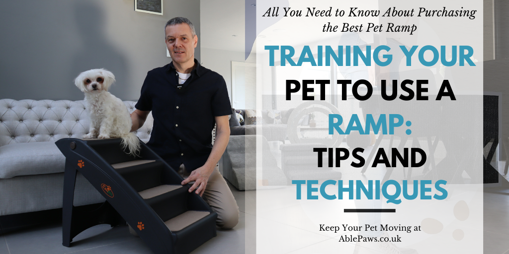 Training Your Pet to Use a Pet Ramp Tips and Techniques