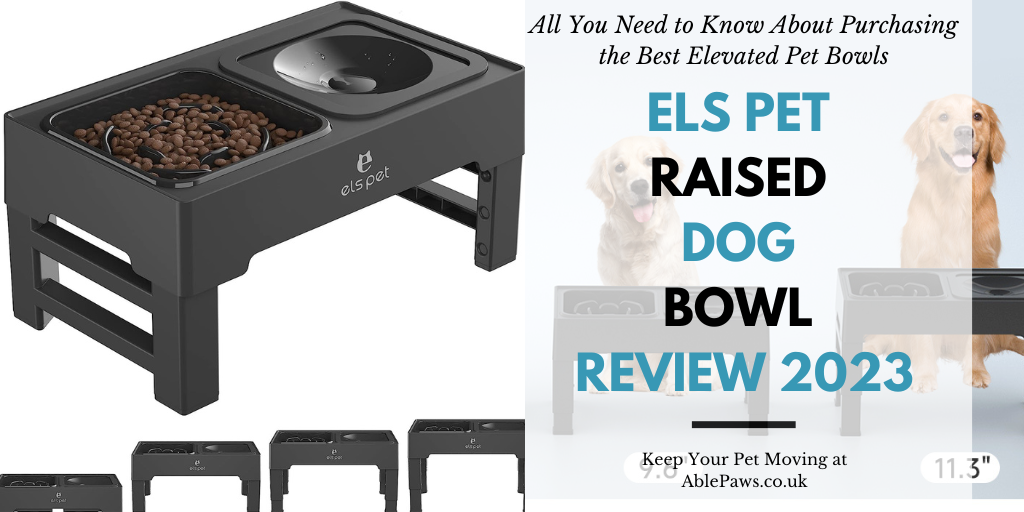 ELS PET Raised Dog Bowl REVIEW 2023