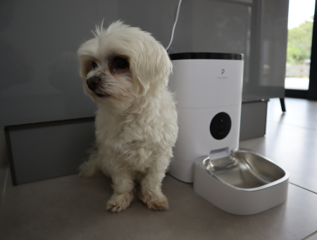 PETLIBRO 4L, 2.4G (WIFI) Automatic Pet Feeder Review - About the PETLIBRO Brand