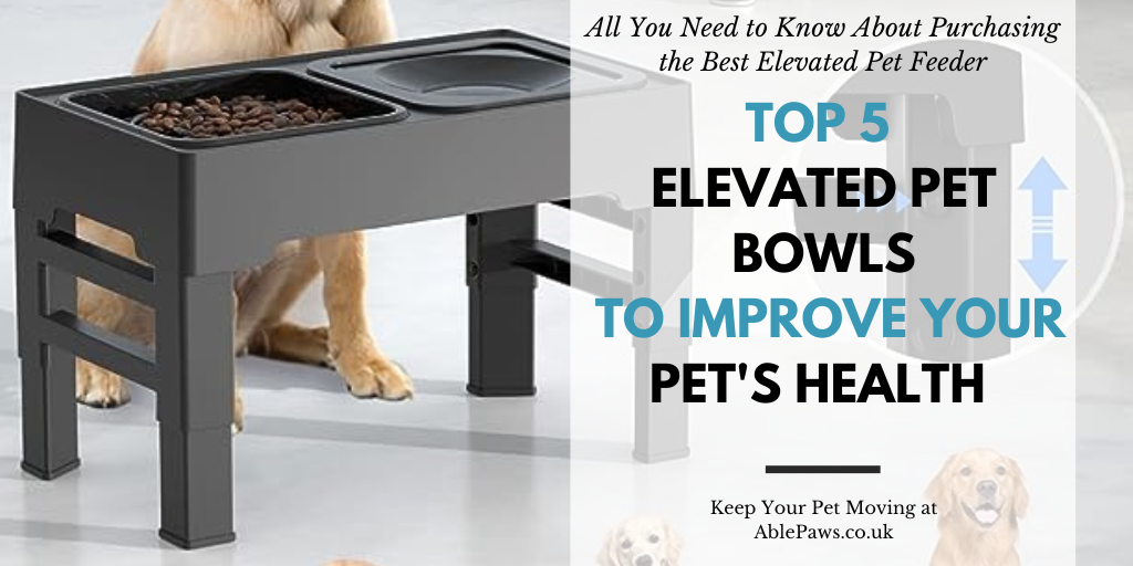 Top 5 Elevated Pet Bowls to Improve Your Pet's Health and Comfort