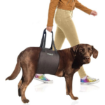 Labra Dog Sling Lift Review