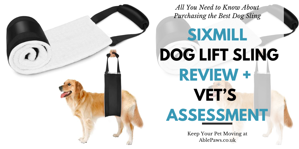 Sixmill Dog Lift Sling - Review + Vet's Assessment