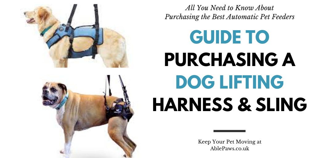 The Definitive Guide To Purchasing a Dog Lifting Harness & Sling UK