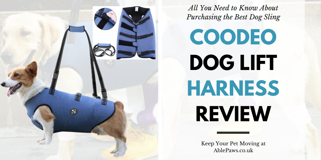 Coodeo Dog Lift Harness Review
