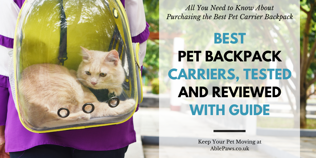 Best Pet Backpack Carriers, Tested and Reviewed With Guide