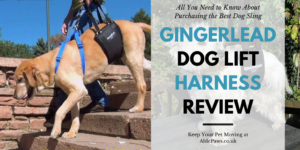 GINGERLEAD Dog Lift Harness Review